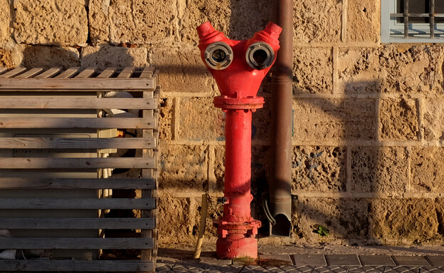 ברז כיבוי אש (צילום:  HELGA YG, Shutterstock)