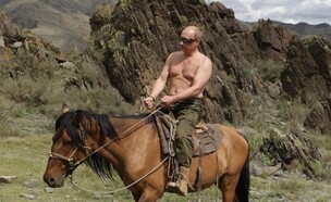 ולדימיר פוטין רוכב על סוס ללא חולצה (צילום: AP)