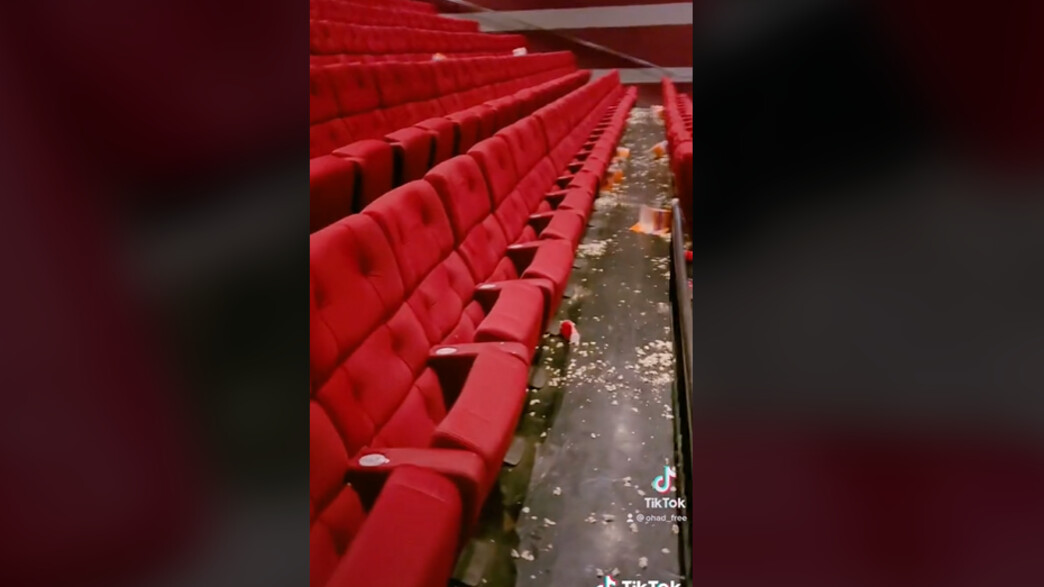 צופים ישראלים המיניונים צופים ישראלים המיניונים