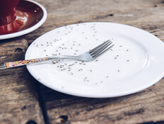 נמלים (צילום:  Boyloso, Shutterstock)
