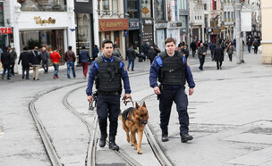 שוטרים עם כלב איסטנבול טורקיה (צילום: 4.murat, Shutterstock)