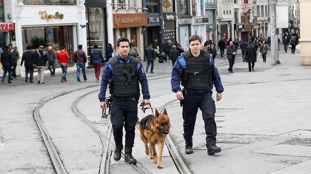 שוטרים עם כלב איסטנבול טורקיה (צילום: 4.murat, Shutterstock)