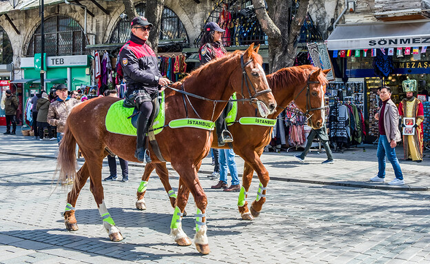 שוטרים על סוסים איסטנבול טורקיה (צילום: Igor Batenev, Shutterstock)
