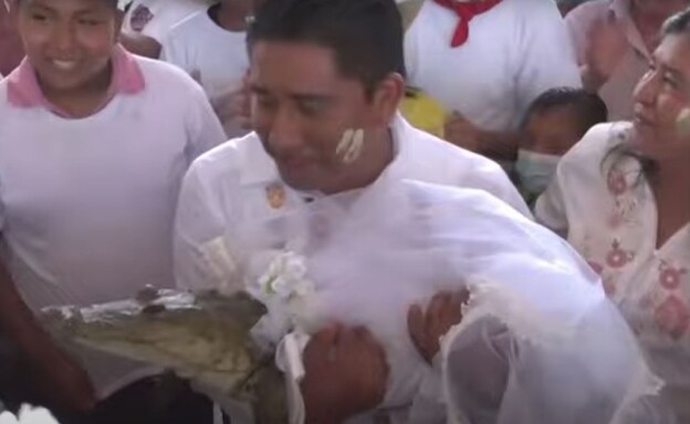 ראש עירייה במקסיקו התחתן עם תנין (צילום: youtube)