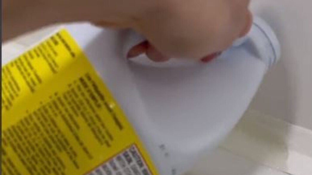 אקונומיקה אקונומיקה