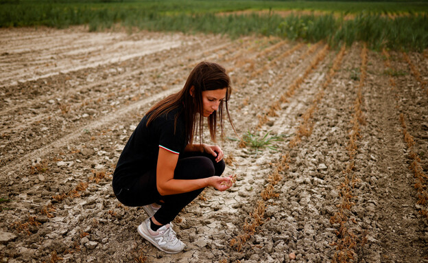 נערה בשדה חקלאי שנפגע עקב הבצורת, איטליה (צילום: רויטרס)
