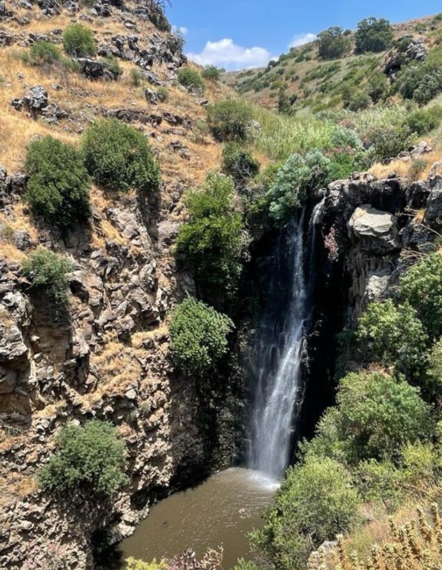 מפל ג'ילבון (צילום: ארז דגן)