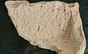 הכתובת הקדומה ביותר בירושלים התגלתה בעיר דוד 