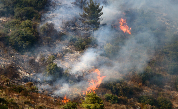 שריפת יערות (צילום: Shimon Bar, shutterstock)