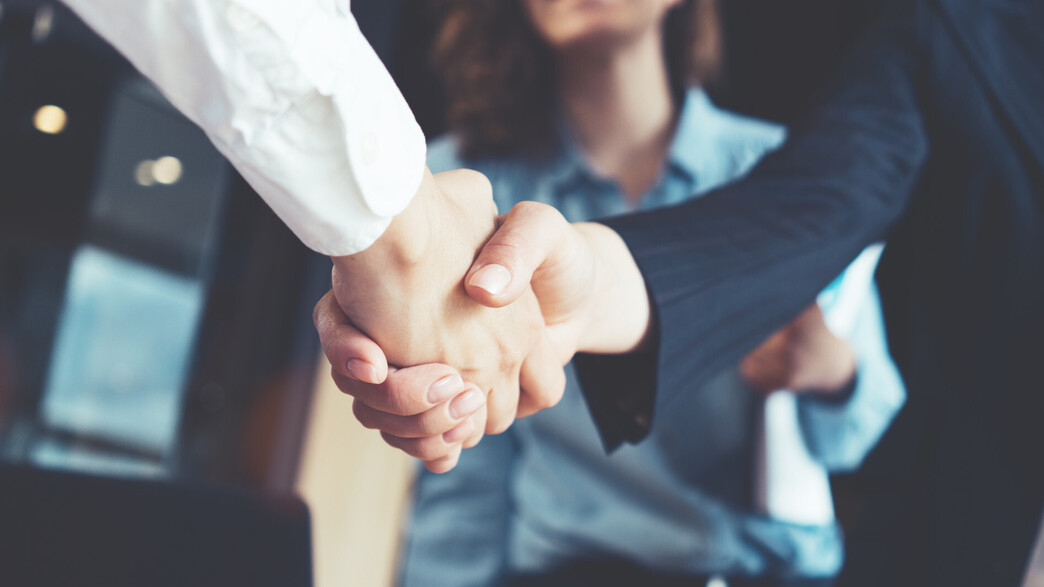 לחיצת יד לחיצת יד