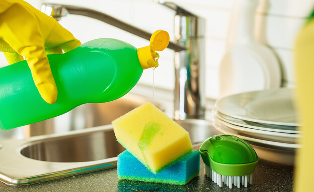 סבון כלים (צילום:  Olga Miltsova, Shutterstock)