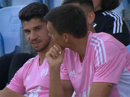 מתרגל לצבעים החדשים. סולומון