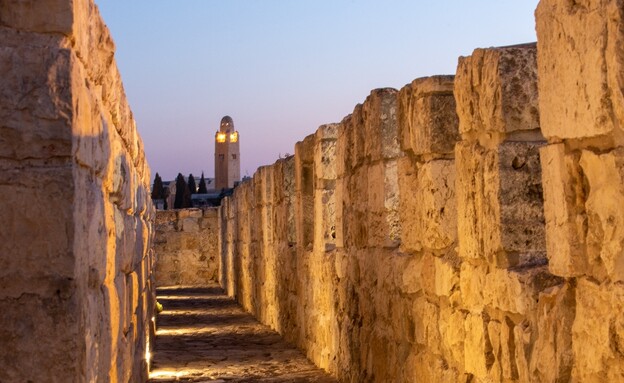 מה הלוז – 19.07 - משפחה - אוגוסט בטיילת החומות בירושלים  (צילום: איתמר גרינברג, יח"צ)