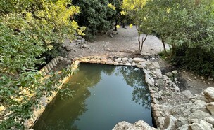 עין תמר (צילום: ארז דגן)