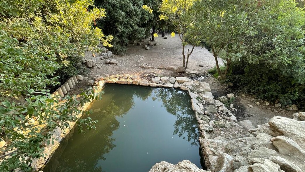 עין תמר עין תמר