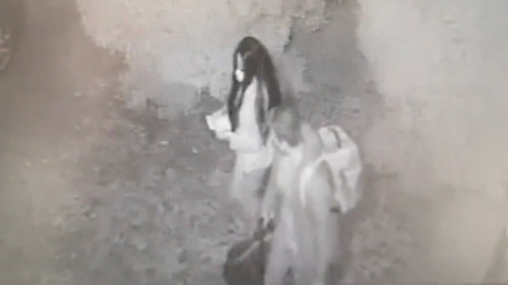 שודדי היינות היקרים בספרד שודדי היינות היקרים בספרד