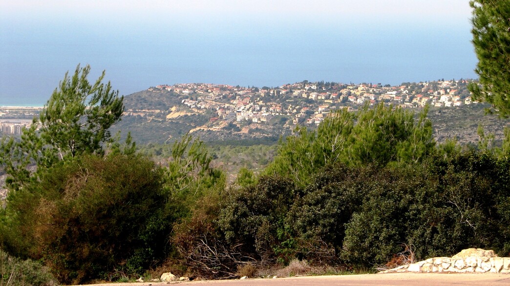 שכונת דניה (צילום: חנאי, ויקיפדיה)