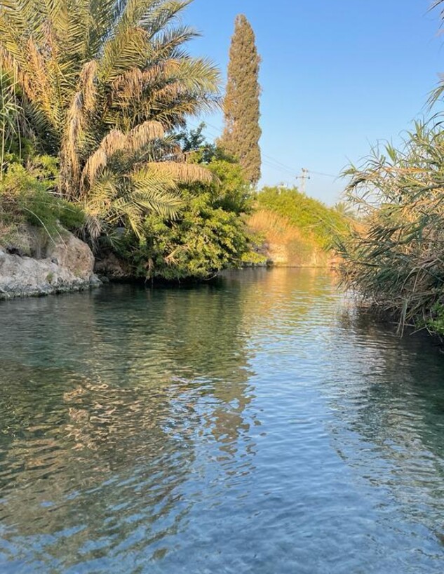 עין מגדל (צילום: ארז דגן)