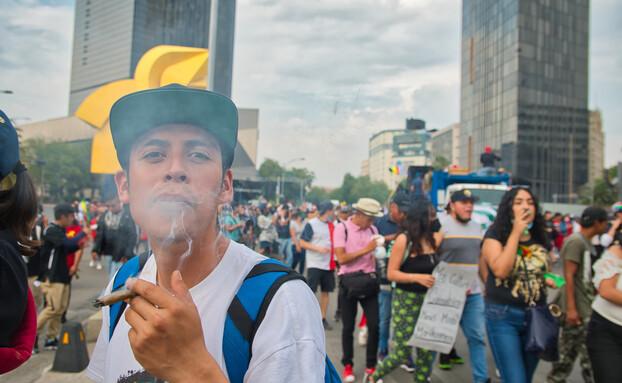 הפגנת סמים במקסיקו (צילום: Gill_figueroa, shutterstock)
