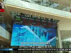 19money_vtr2_n20220728_v1 (צילום: חדשות)