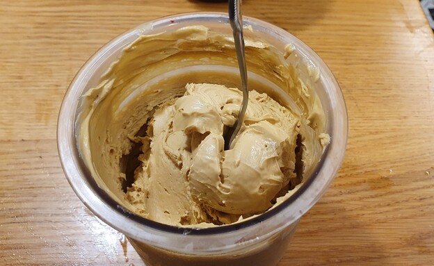 גלידת פיסטוק ביתית (צילום: צילום ביתי)