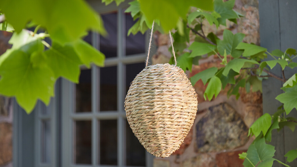 EvergreenGarden EvergreenGarden