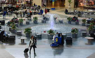 נמל התעופה בן גוריון (צילום: Elena Dijour, Shutterstock)
