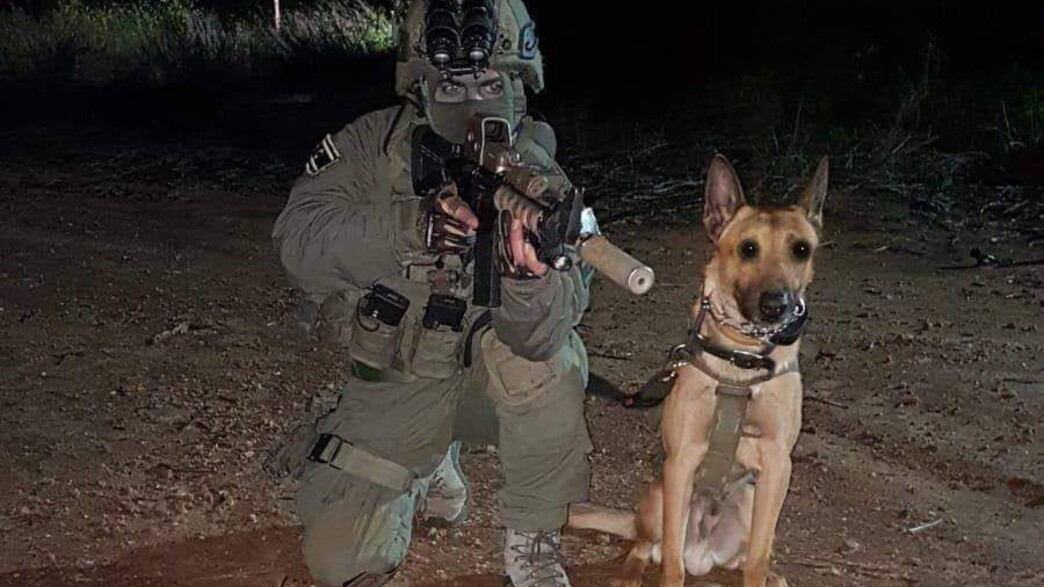 הכלב זילי (צילום: דוברות משטרת ישראל)