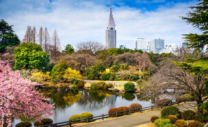 פארק שינג'וקו גוין טוקיו יפן (צילום: ESB Professional, shutterstock)