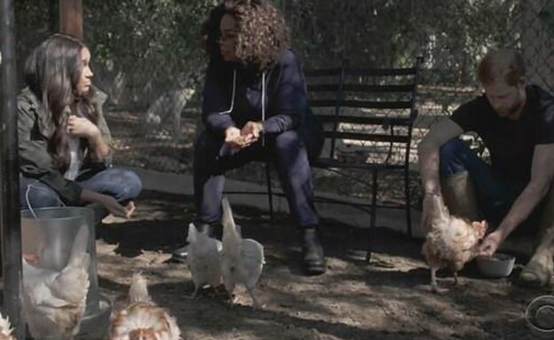 הארי ומייגן עם התרנגולות שאימצו (צילום: cbsnews.com, צילום מסך)