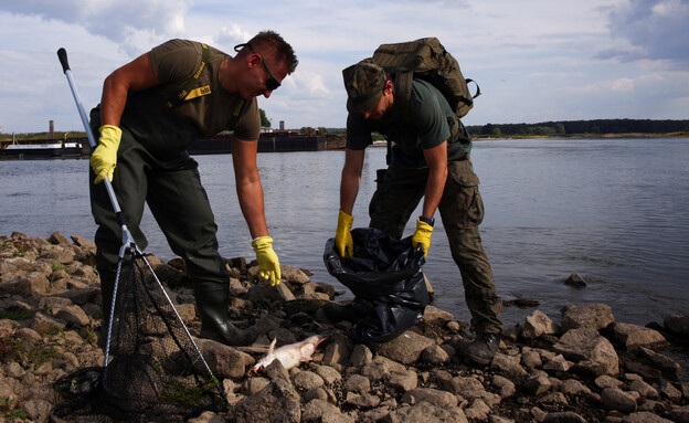 טונות של דגים נמצאו מתים בנהר אודר בפולין-גרמניה (צילום: רויטרס)