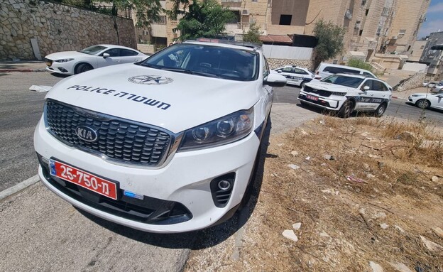 כוחות משטרה  (צילום: דוברות משטרת ישראל)