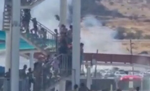 חוף גיא בטבריה: שריפת קוצים התפשטה (צילום: חדשות בזמן אמת, mako חופש)
