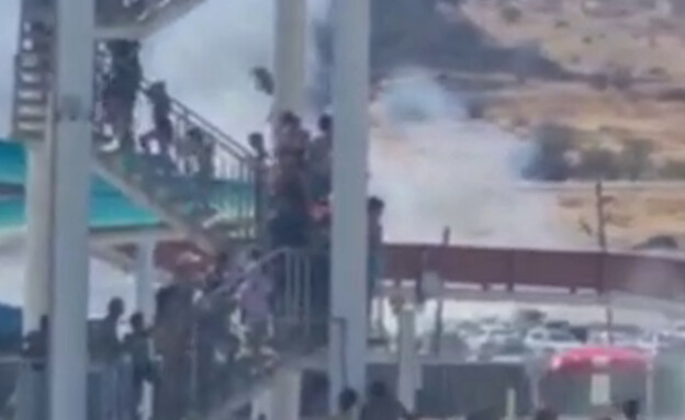 חוף גיא בטבריה: שריפת קוצים התפשטה (צילום: חדשות בזמן אמת, mako חופש)
