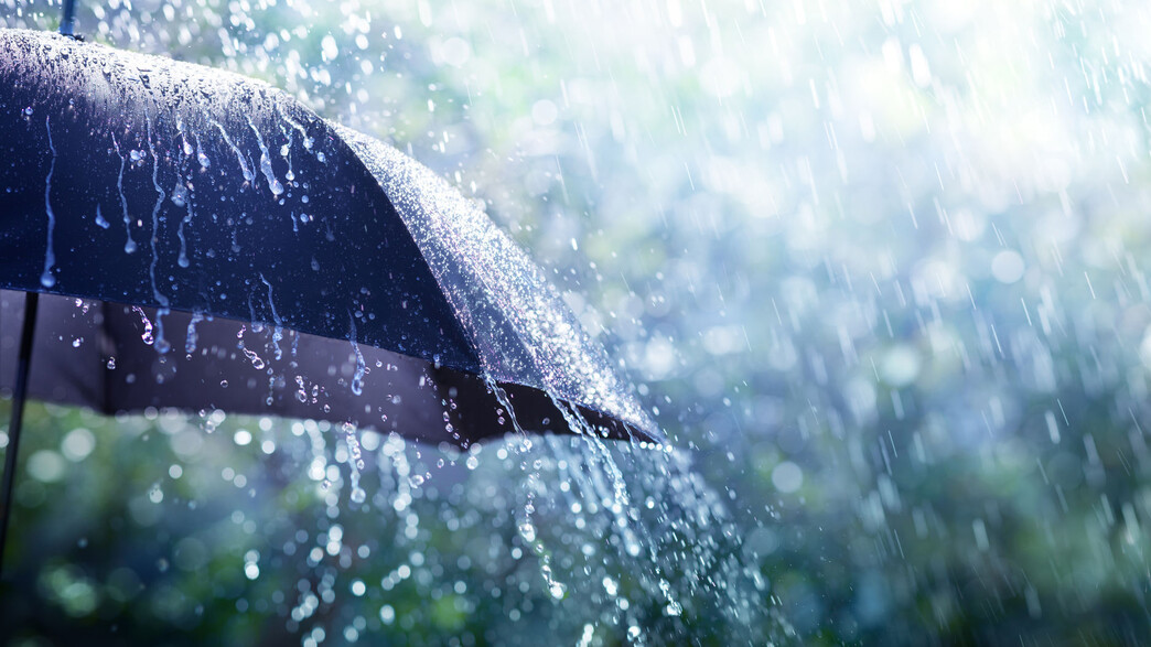 מטריה וגשם בחורף מטריה וגשם בחורף