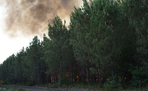 שריפה בצרפת (צילום: A.Taoualit, shutterstock)