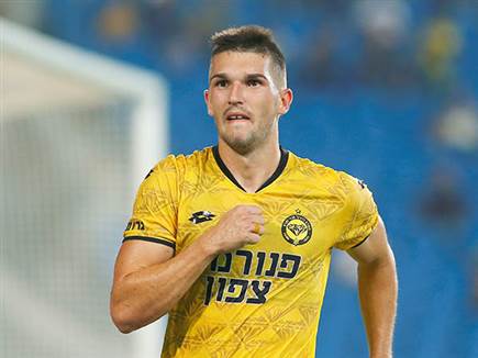 ערב חלומי עבורו. זלאטנוביץ' (אלן שיבר)