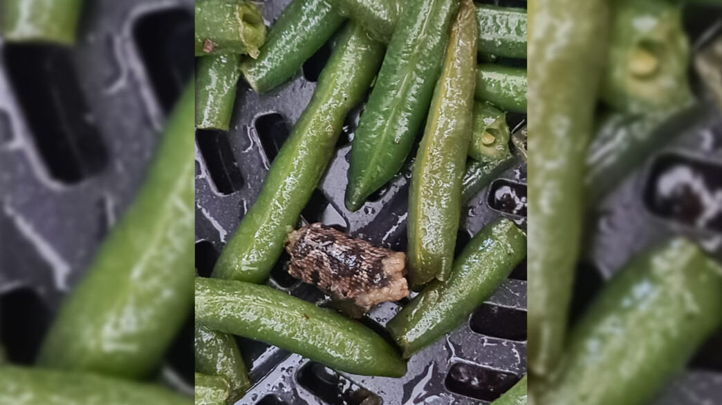 טענה לנחש במוצר של פרי הגליל