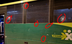 נהג האוטובוס מפיגוע הירי אמש בבנימין (צילום: מתוך "חדשות הבוקר" , קשת12)