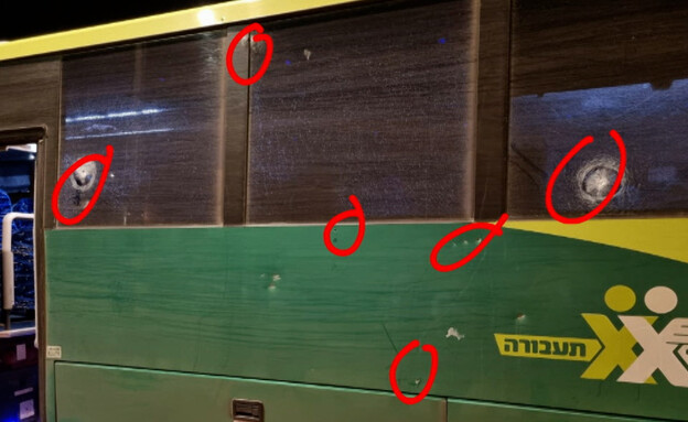 נהג האוטובוס מפיגוע הירי אמש בבנימין (צילום: מתוך "חדשות הבוקר" , קשת12)