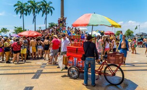 ברזיל ריו דה ז'נרו (צילום: JackKPhoto, shutterstock)