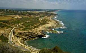 הגליל המערבי (צילום: max shamota, shutterstock)