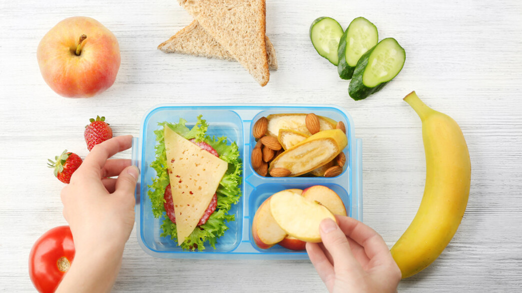 טרה - קופסת אוכל טרה - קופסת אוכל