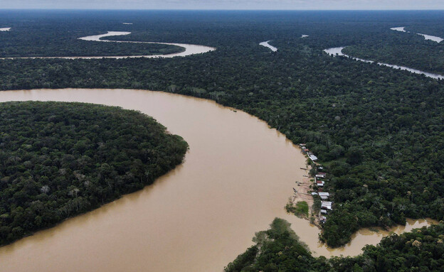 יערות האמזונס בברזיל (צילום: רויטרס)
