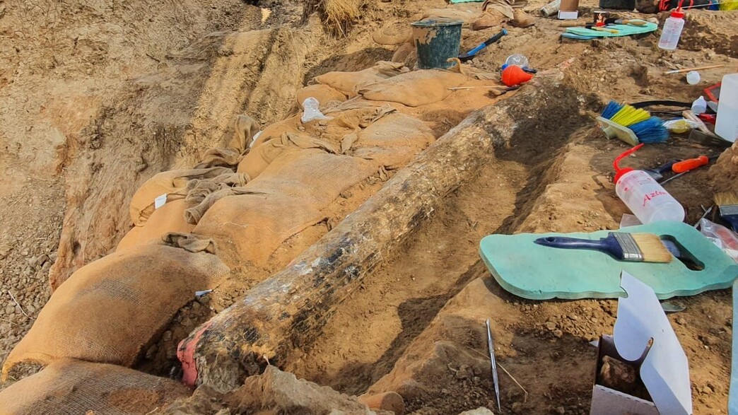 החט כפי שנחשף בחפירה בשטח