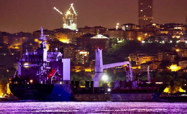 ספינת תבואה גנובה, טורקיה, יולי 2022 (צילום: reuters)