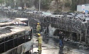 פרוטקשיין (צילום: מאיר ינקו)