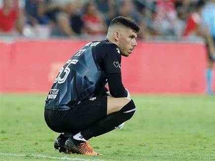 ואכזבה (אלן שיבר)