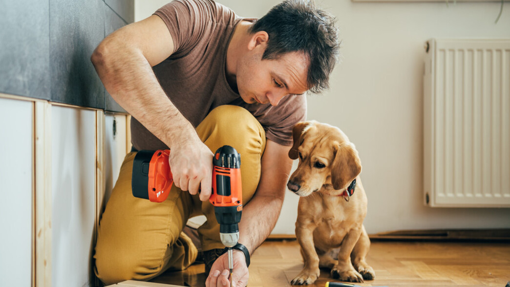 שיפוץ הבית שיפוץ הבית