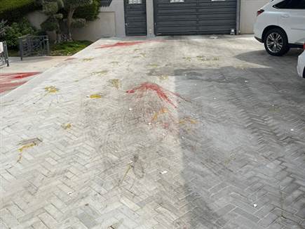 הצבע והביצים בחצר הבית